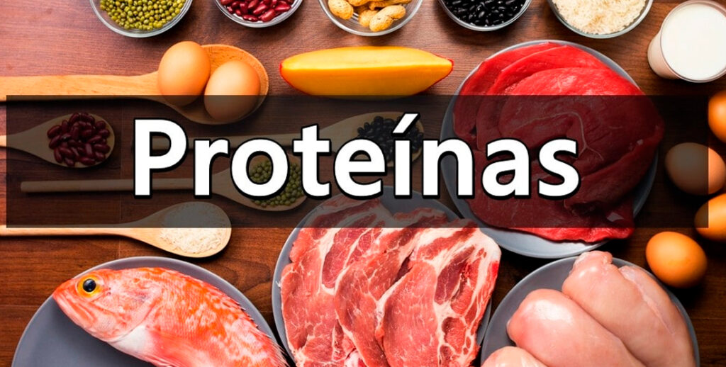 Consumo De Proteínas ¿cuánta Proteína Debes Comer Al Día Revista Bienestar 1074