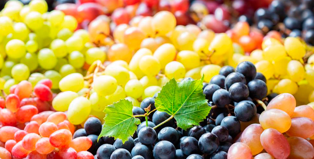 Los nutrientes de las uvas ofrecen varios beneficios para la salud