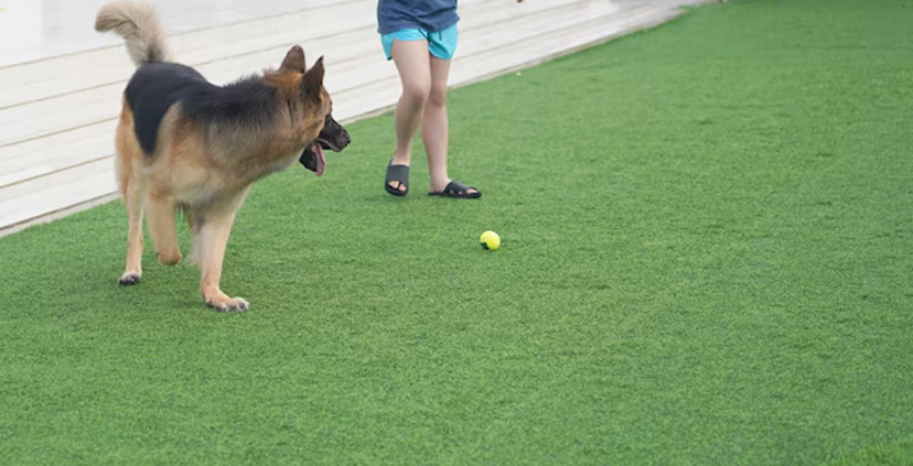 Mantenimiento del cesped artificial para tus mascotas