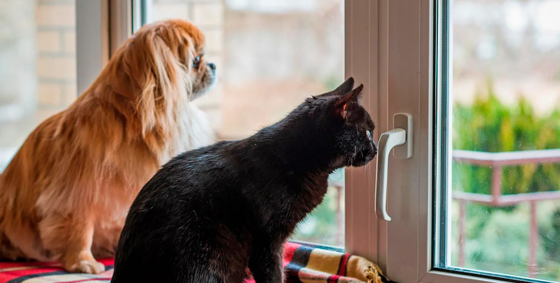 Alteraciones dermatológicas y alergias asociadas Alteraciones dermatológicas y alergias asociadas