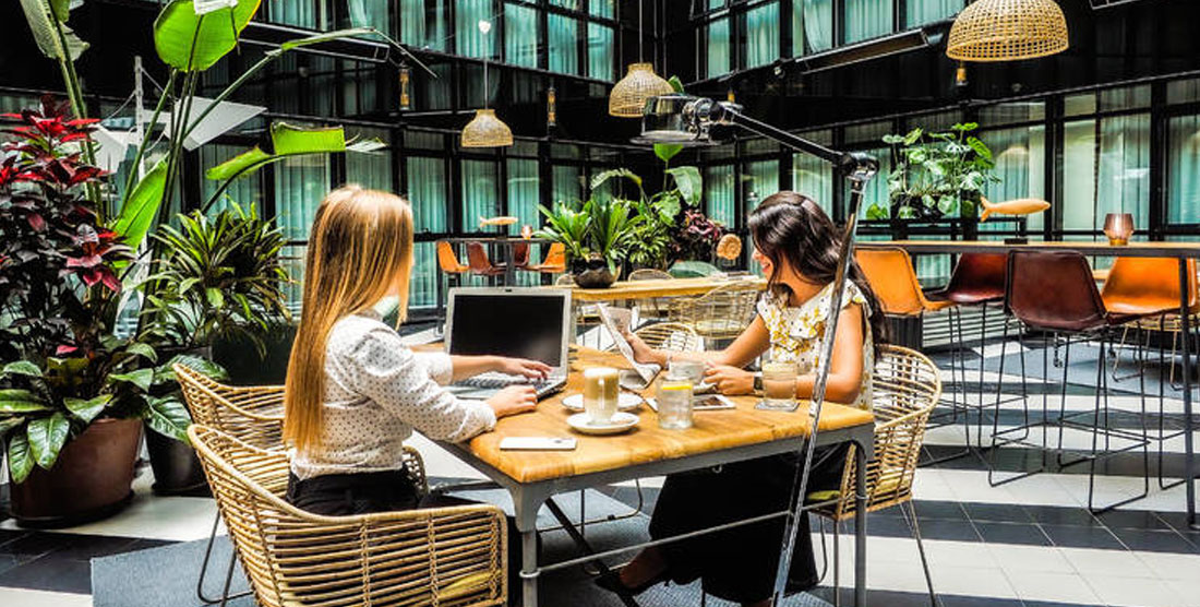 Espacios de trabajo y conectividad avanzada