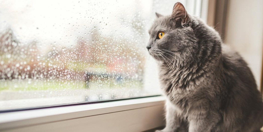 Riesgos reales y soluciones eficaces Riesgos reales y soluciones eficaces