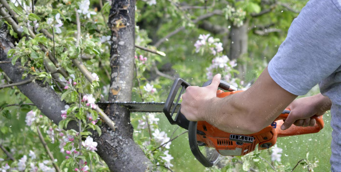 Tipos de poda recomendados para el mes de abril